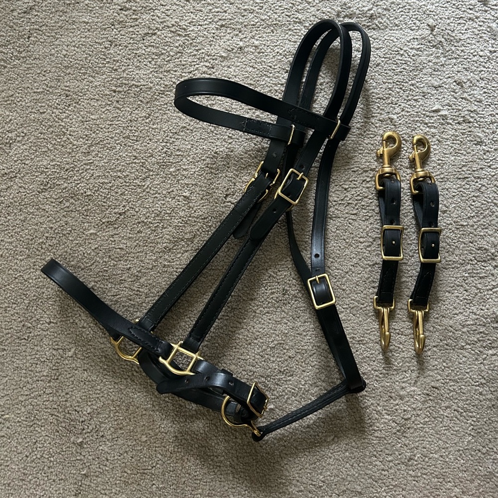 Halter bridle combo used once
